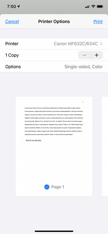 how to print on Google Docs mobile from an iPhone
