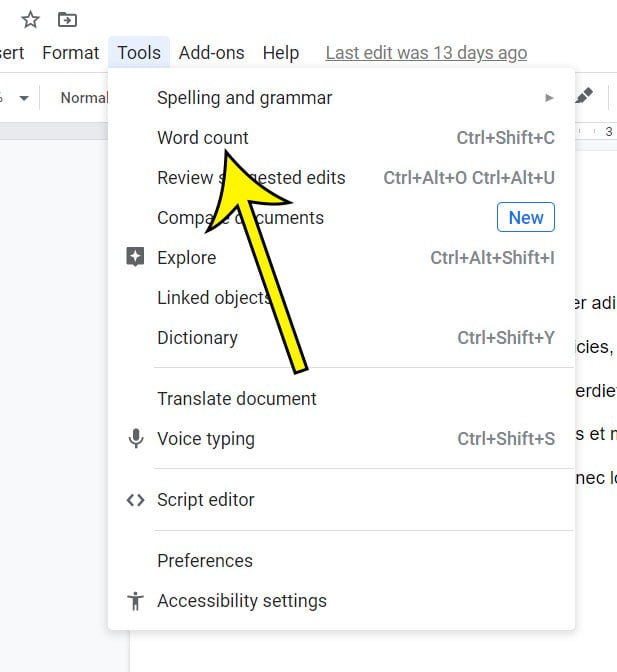 How to Check Word Count on Google Docs  An Easy 4 Step Guide  - 62