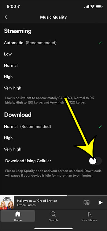 how to disable cellular downloads in the Spotify iPhone app