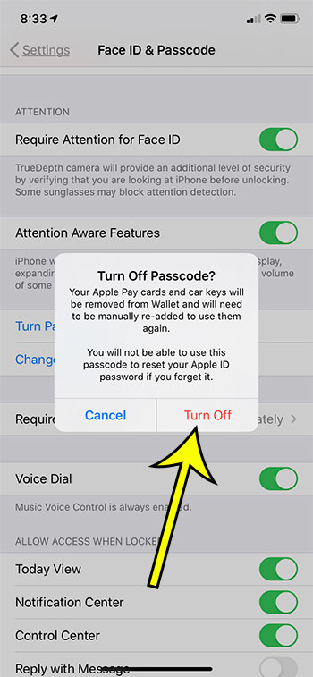 how to remove the iPhone 6 passcode