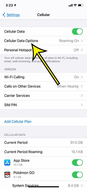 select Cellular Data Options