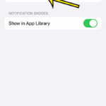 how to only add apps to the app library on an iPhone