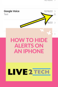 What is the Hide Alerts iPhone meaning?