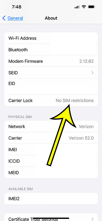 iPhone 13 SIM card removal carrier lock status