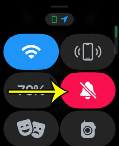 how to silence Apple Watch