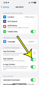 how to enable automatic iPhone 13 app updates