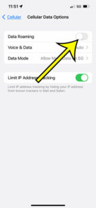 how to turn iPhone 13 data roaming on or off