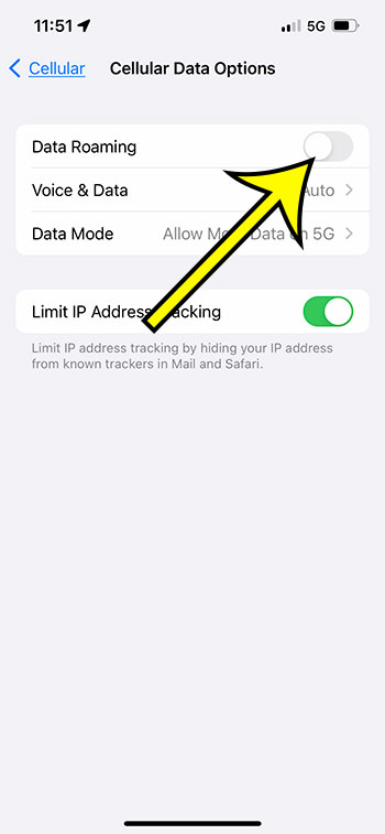 how to turn iPhone 13 data roaming on or off
