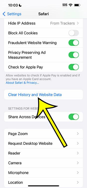 how to clear iPhone 14 Safari history