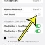 how to disable iPhone 14 lock sound