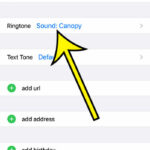 how to set contact ringtone on iPhone 14