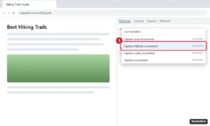 Browser developer tools command menu with screenshot typed and Capture full size screenshot highlighted
