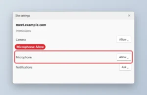 Browser site settings with the Microphone permission set to Allow