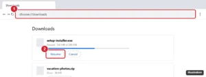 Chrome Downloads page with a paused download and the Resume button highlighted