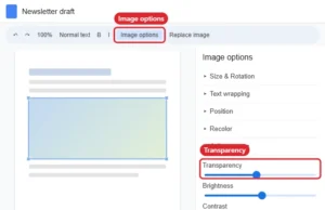 Online document editor with an image selected and the Image options panel open to Adjustments with the Transparency slider