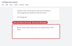 Online document editor showing a page break between two pages with the cursor placed after it