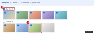 Google Photos on the web with the checkmark next to a date highlighted to select every photo from that day