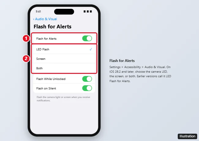 iPhone Accessibility Flash for Alerts screen with the main switch and the LED Flash, Screen, and Both options highlighted
