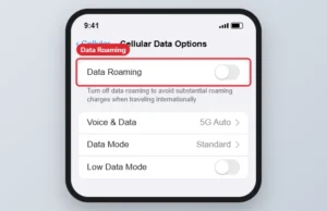iPhone Cellular Data Options screen with the Data Roaming switch