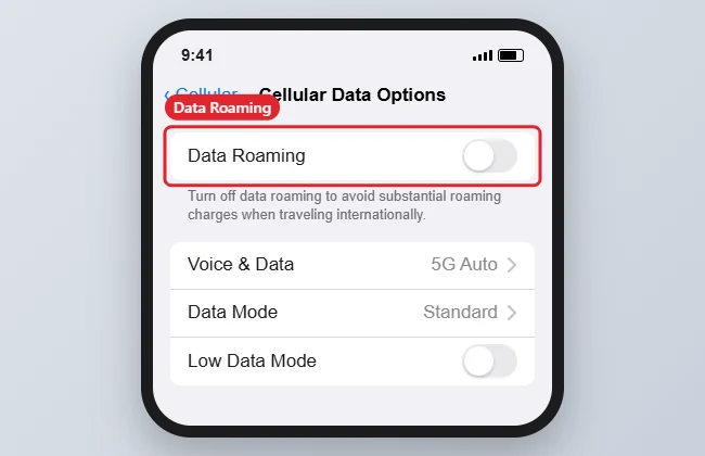 iPhone Cellular Data Options screen with the Data Roaming switch
