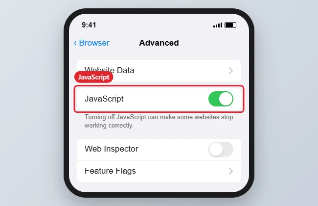 iPhone Settings for the browser Advanced page with the JavaScript toggle