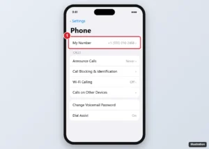 iPhone Settings Phone screen with My Number highlighted at the top