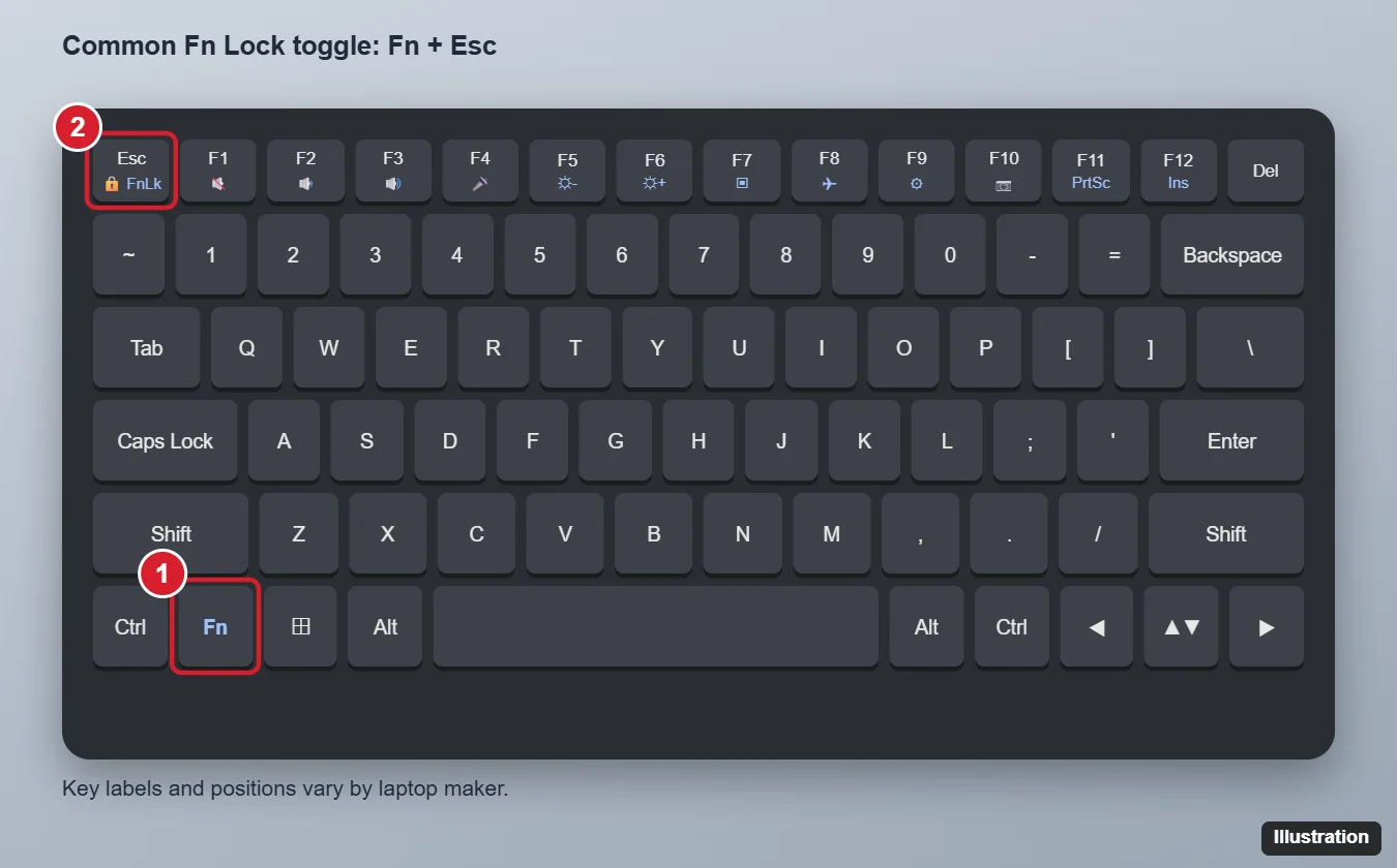 How to Turn Off Fn Lock in Windows 11 (Any Laptop) 1 Laptop keyboard illustration with the Fn key and the Esc key with Fn Lock padlock icon highlighted