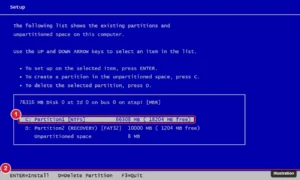 Legacy text-mode setup screen listing hard disk partitions with the existing C: partition selected for deletion before a clean install