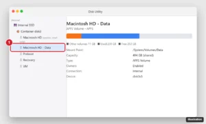 Mac disk utility sidebar showing the system volume and its Data volume in the same container, with the Data volume selected and its used space shown