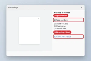 Print settings panel with Page numbers checked and Edit custom fields highlighted