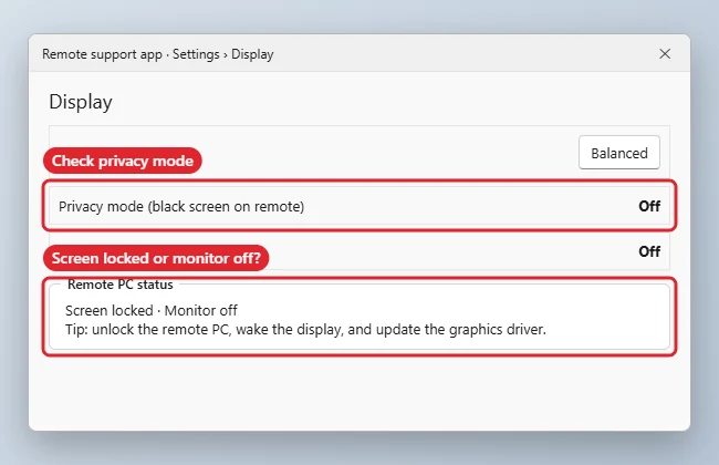 How to Fix AnyDesk Display Problems on Windows 11 1 Remote support app display settings with privacy mode off and a remote status note