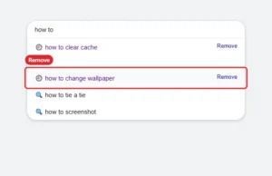 Search box suggestions list with the Remove option for a past search highlighted