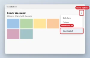 Shared album page with the three-dot menu open and Download all highlighted