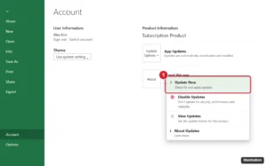 Spreadsheet app Account page with the Update Options menu open and Update Now highlighted, above Disable Updates, View Updates and About Updates