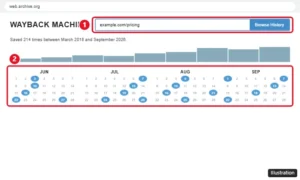 Internet Archive Wayback Machine with a web address entered and the calendar of saved snapshots highlighted, an alternative to Google cached pages