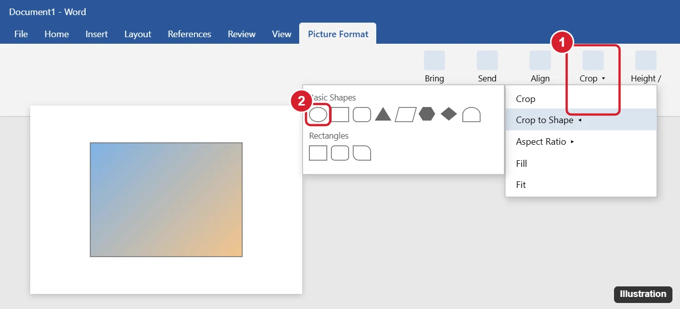 Word Picture Format Crop menu with Crop to Shape open and the Oval shape highlighted