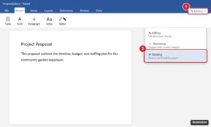 Word processor with the mode menu in the top-right corner open showing Editing, Reviewing, and Viewing, with Viewing highlighted